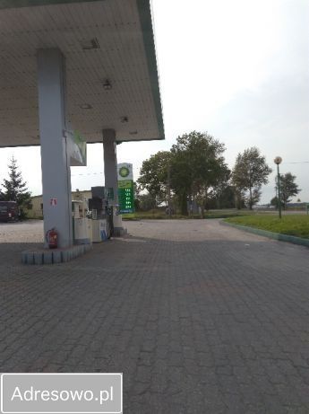 Lokal Osieka. Zdjęcie 4