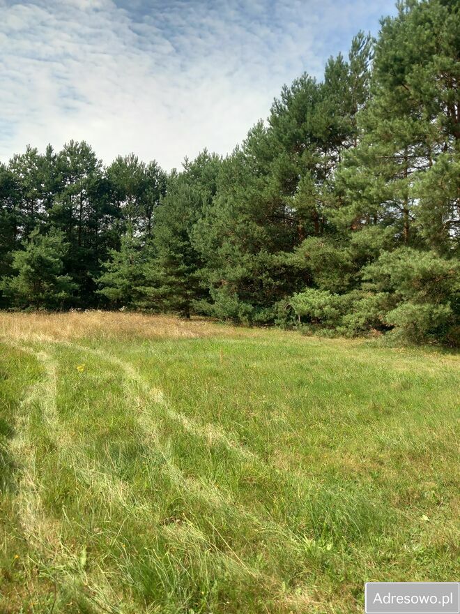 Działka budowlana Bardzynin. Zdjęcie 2