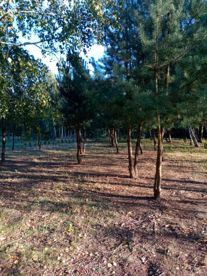 Działka rolno-budowlana Malenia. Zdjęcie 3