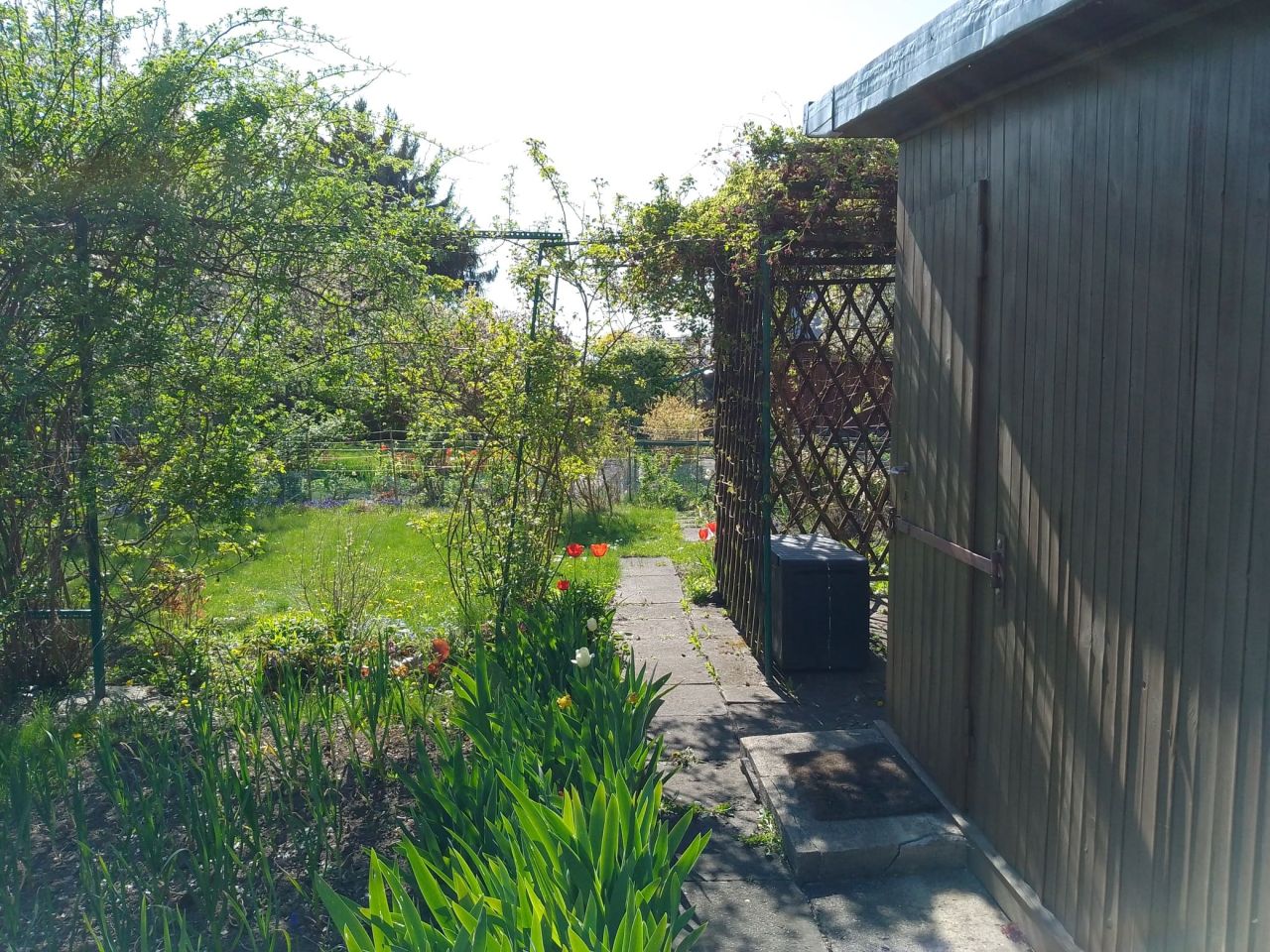 Działka rod Rzeszów Nowe Miasto, al. Niepodległości. Zdjęcie 5