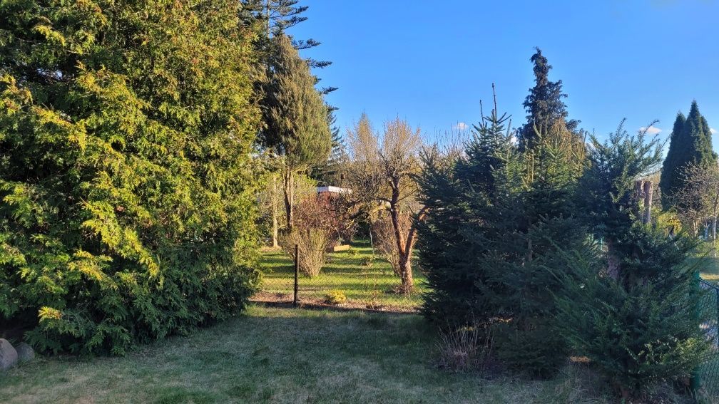 Działka rod Bydgoszcz. Zdjęcie 8