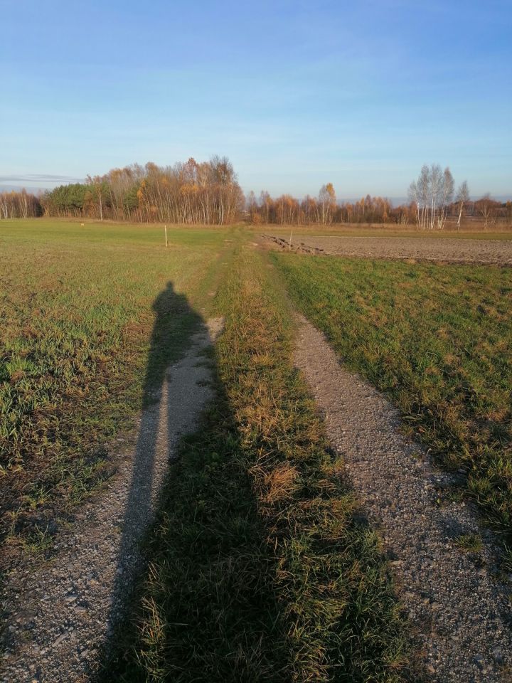 Działka rolno-budowlana Gniewce. Zdjęcie 9