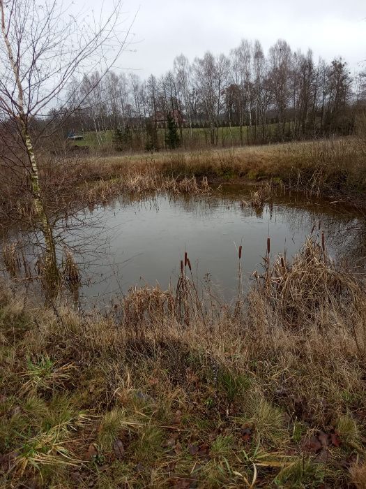 Działka rolna Tuławki. Zdjęcie 4