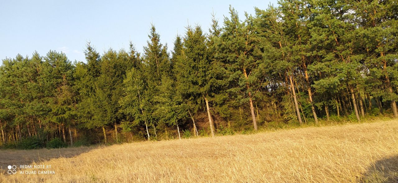 Działka rolna Maluszyn, ul. Strażacka. Zdjęcie 2