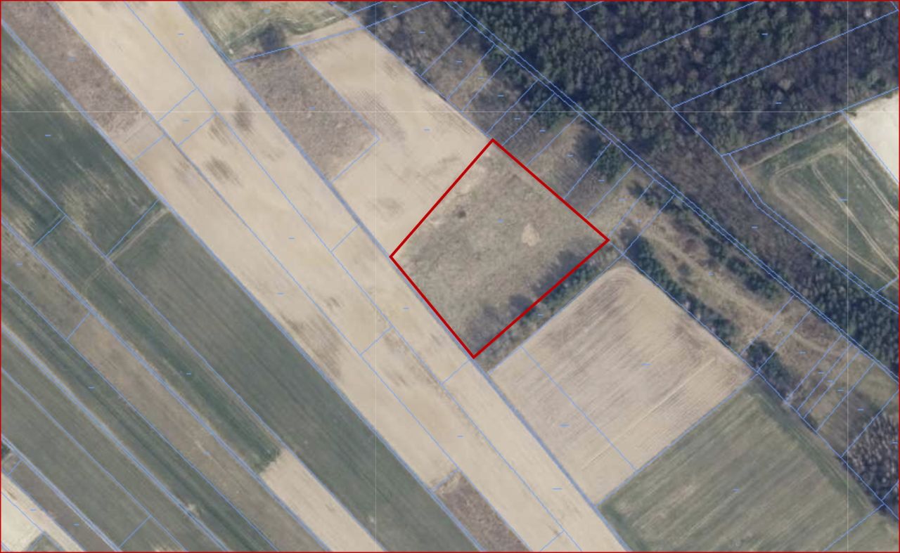 Działka rolna Rożki. Zdjęcie 5