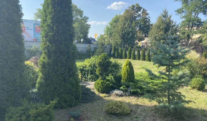 Działka rod Września, ul. Działkowców