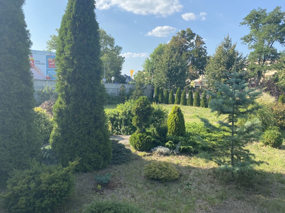 Działka rod Września, ul. Działkowców