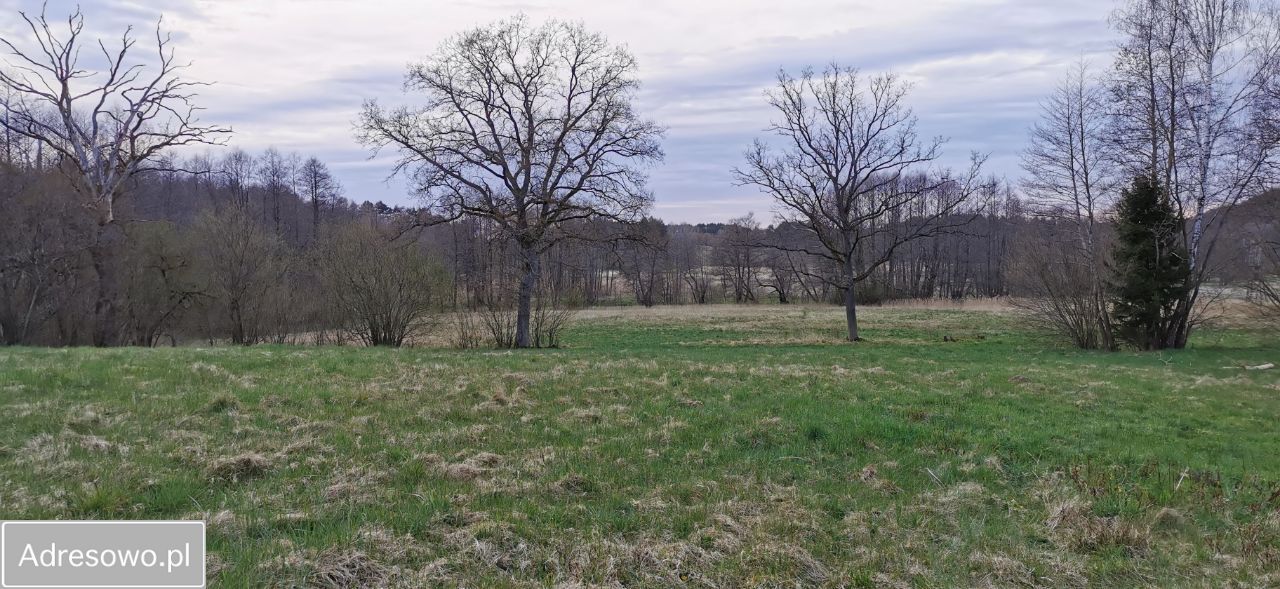 Działka inwestycyjna Drzewiany. Zdjęcie 2