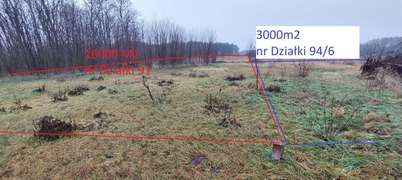 Działka inwestycyjna Gurba, ul. Główna. Zdjęcie 10