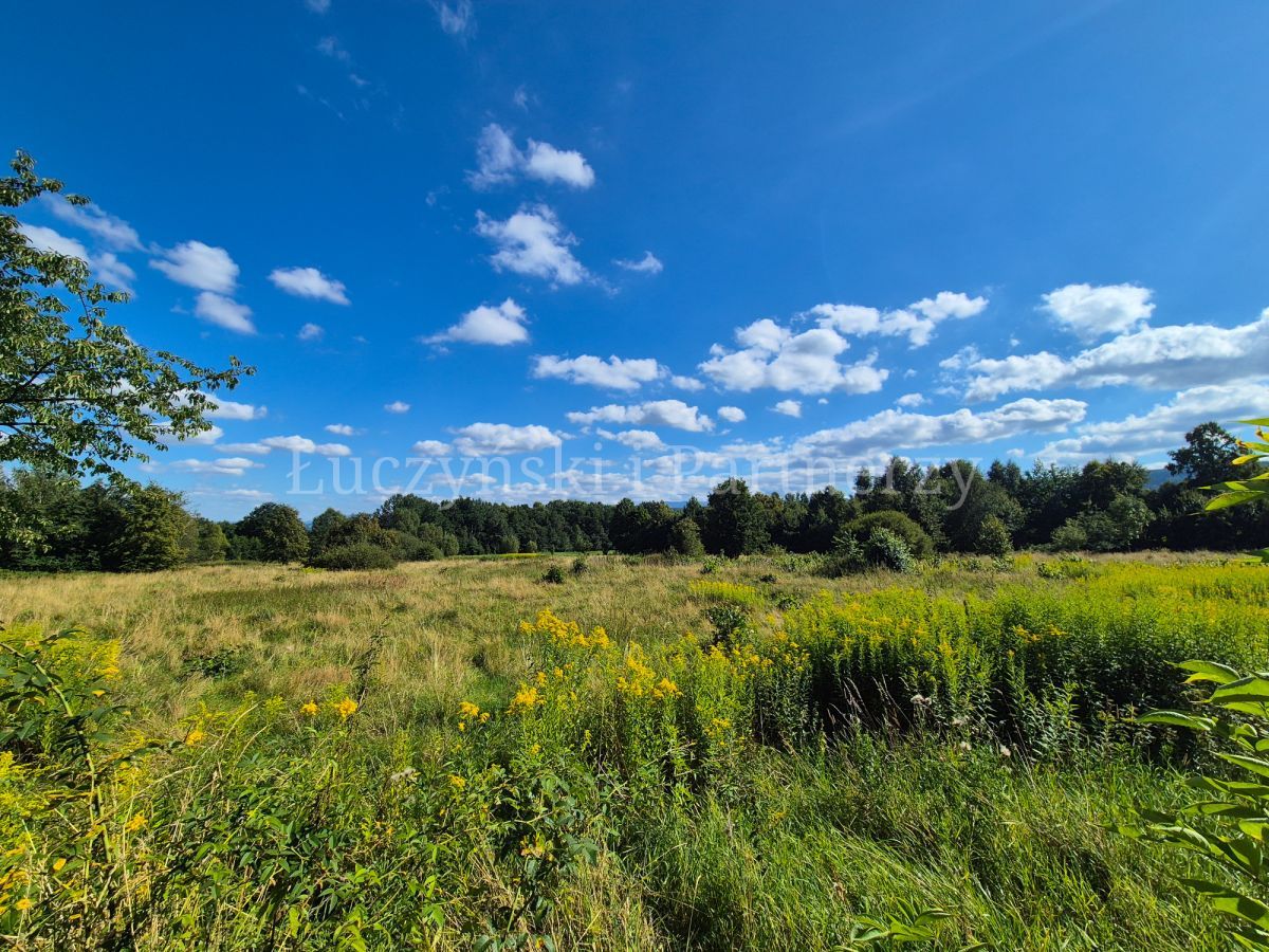 Działka siedliskowa Kłopotnica. Zdjęcie 8