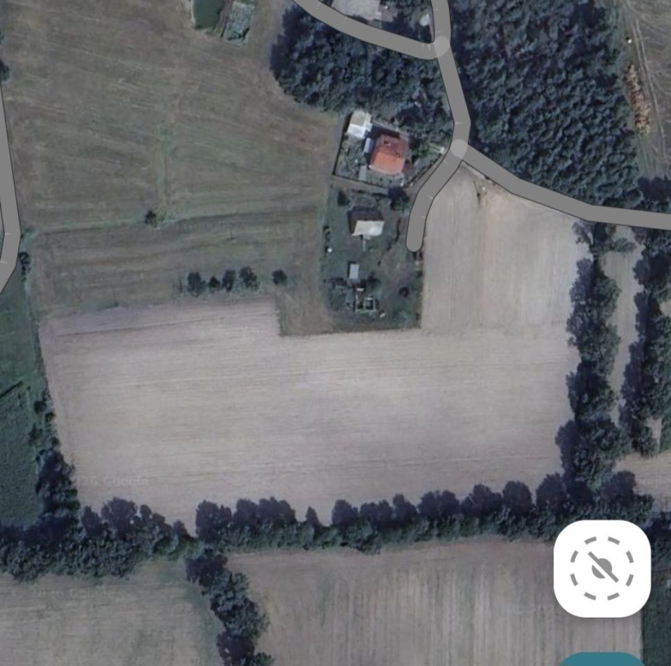 Działka rolna Kaliszkowice Kaliskie. Zdjęcie 2