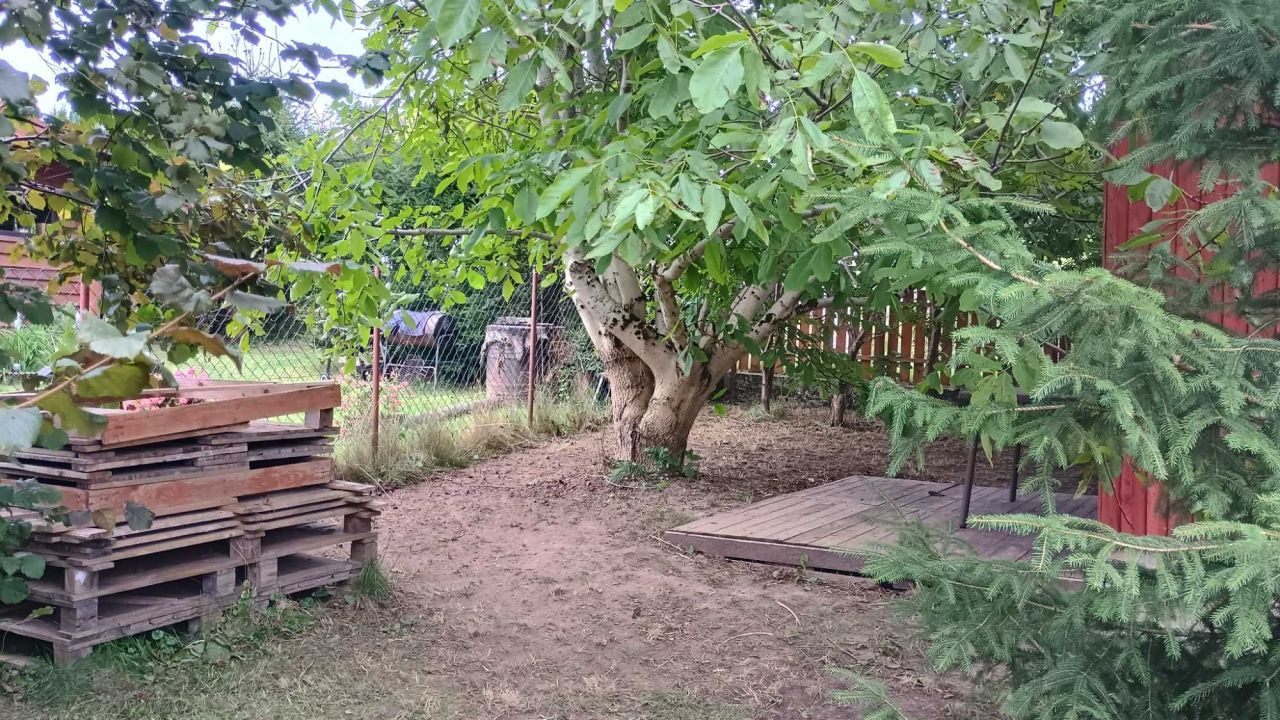 Działka rod Gołdap. Zdjęcie 2