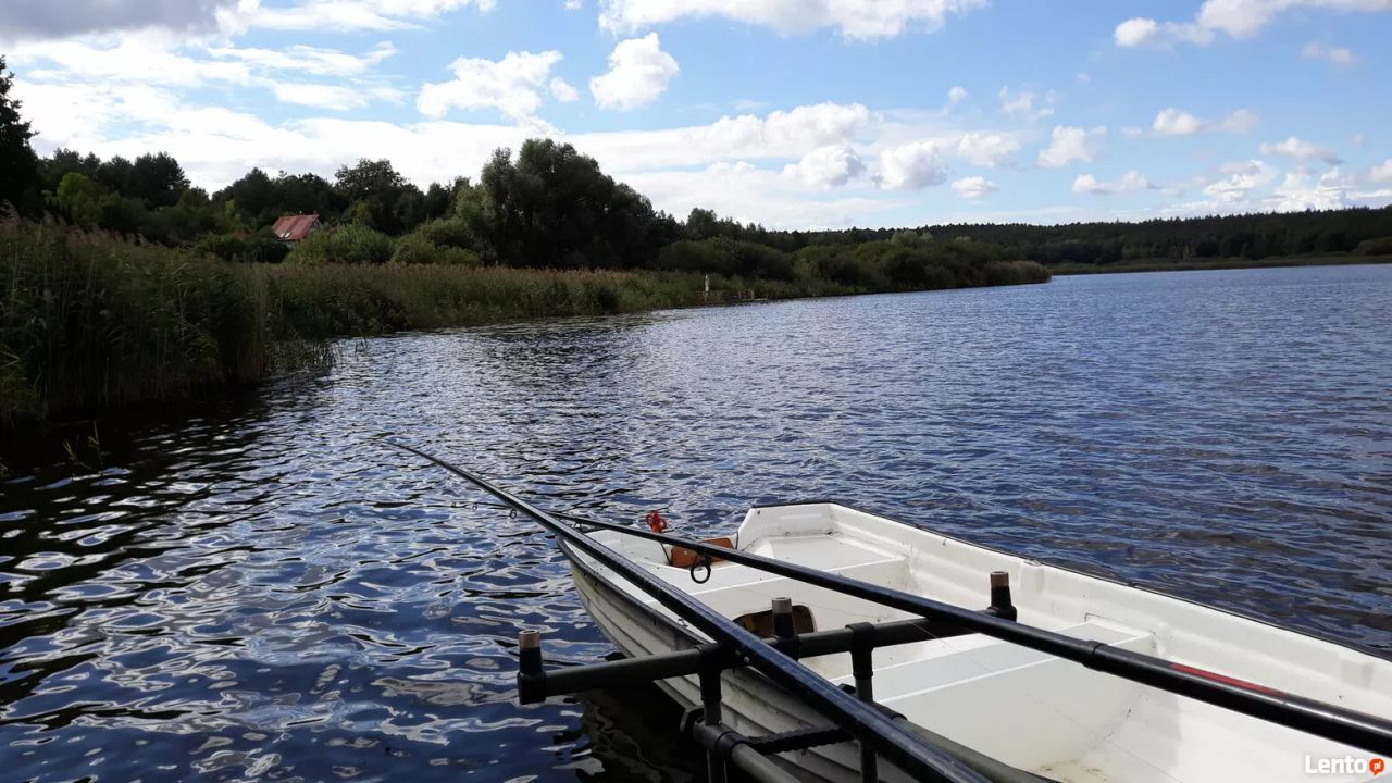dom wolnostojący, 2 pokoje Wiktorowo, Leśna. Zdjęcie 8