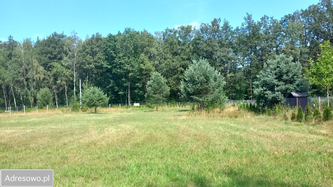 Działka budowlana Leśne Odpadki. Zdjęcie 8