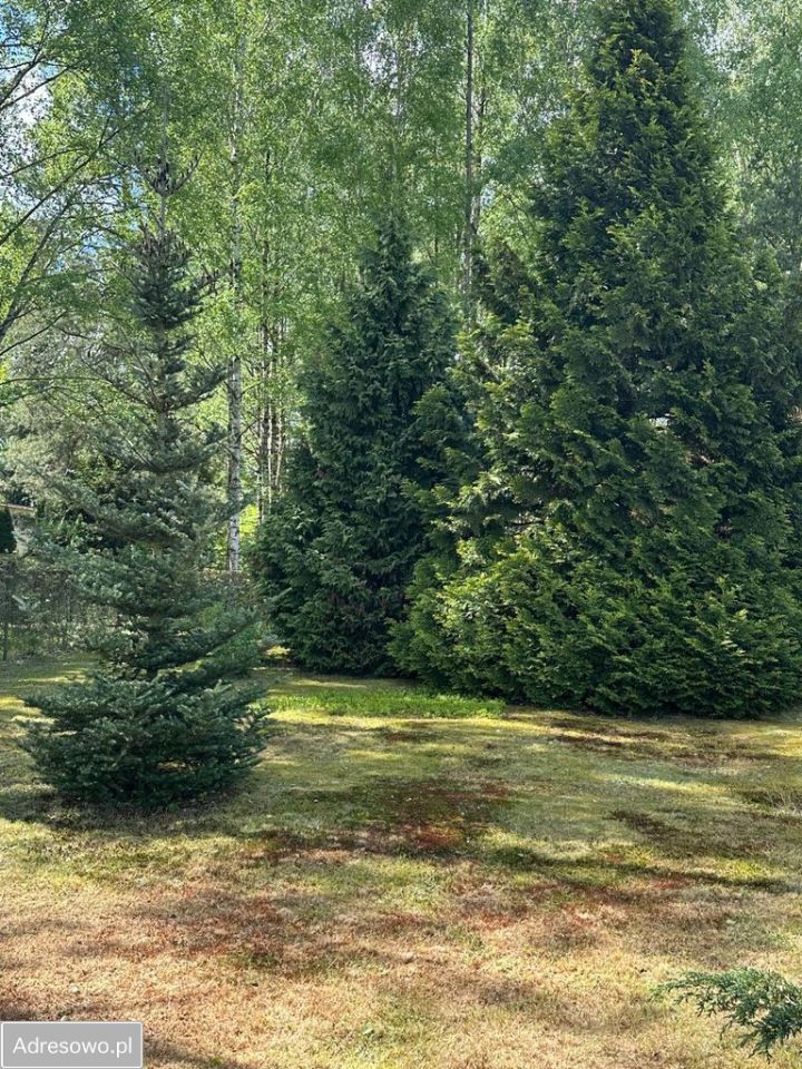 Działka rekreacyjna Brzezie. Zdjęcie 5