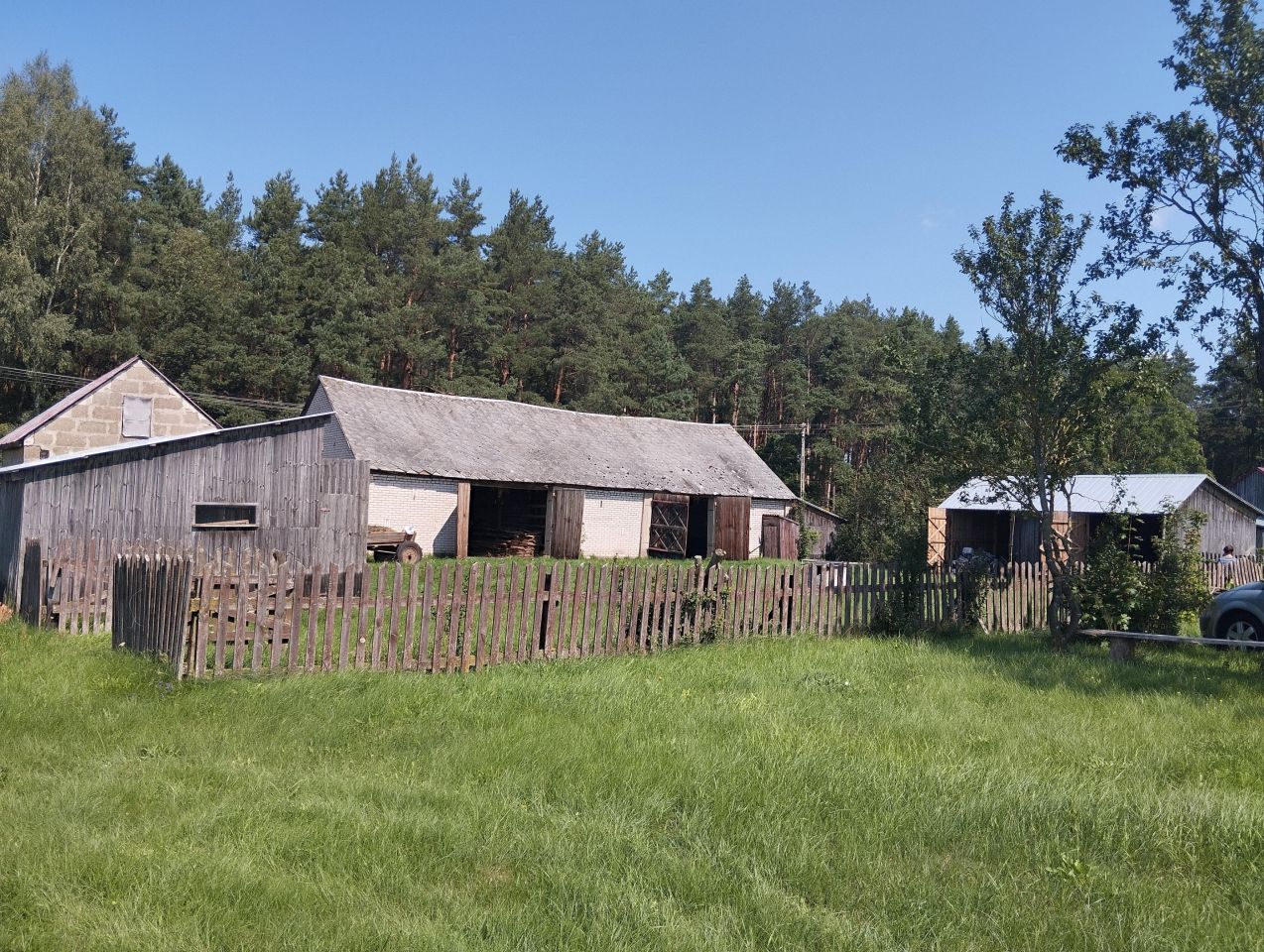 Działka siedliskowa Cisów. Zdjęcie 10