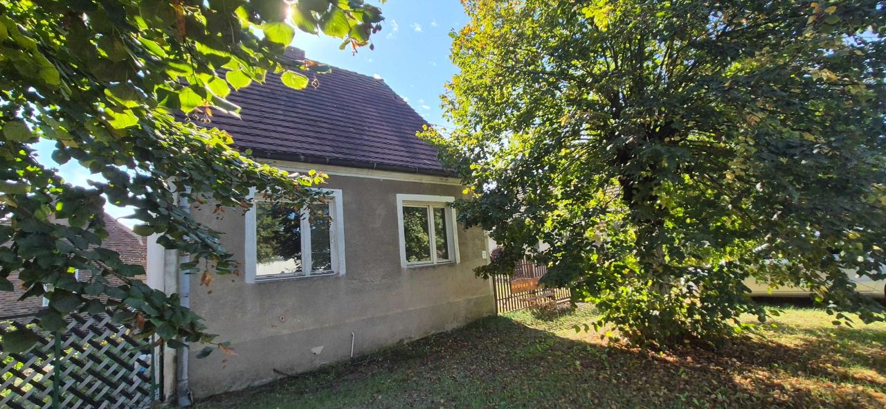 dom wolnostojący Czarnowo