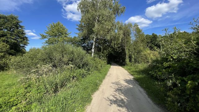 Działka rolna Styrzyniec Gaj. Zdjęcie 1
