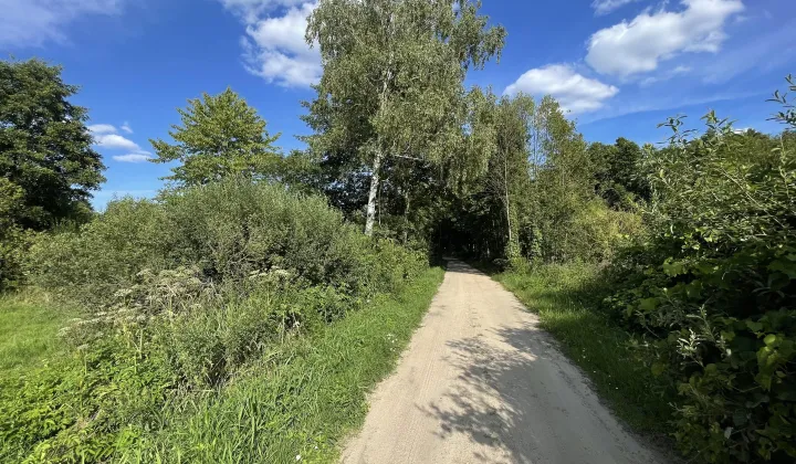 Działka rolna Styrzyniec Gaj