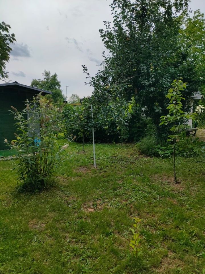 Działka rod Kędzierzyn-Koźle Koźle, ul. Raciborska. Zdjęcie 5