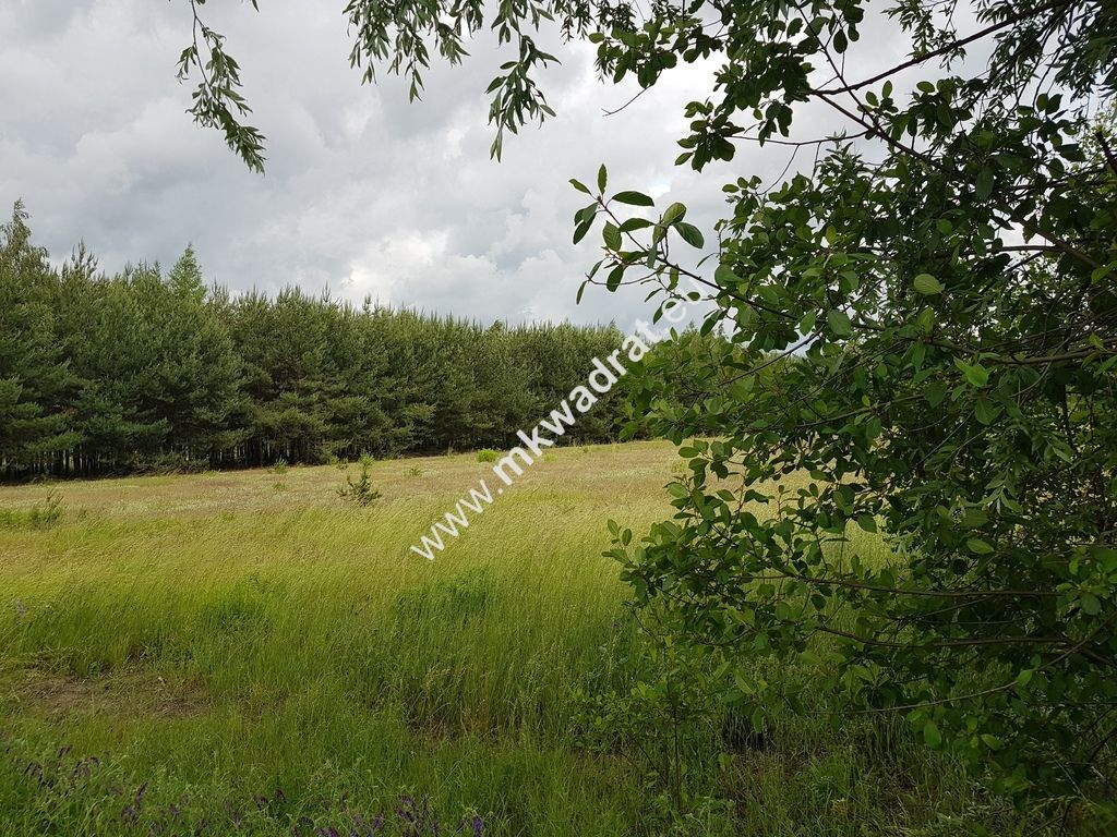 Działka inwestycyjna Jaktorów-Kolonia. Zdjęcie 7