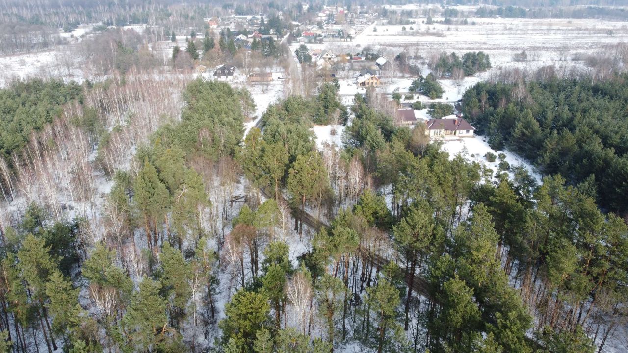 Działka leśna Nowy Staw. Zdjęcie 7