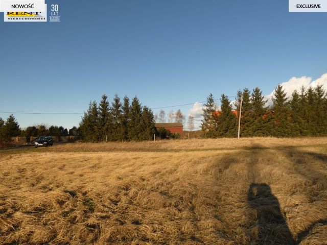 Działka inwestycyjna Komarowo. Zdjęcie 11