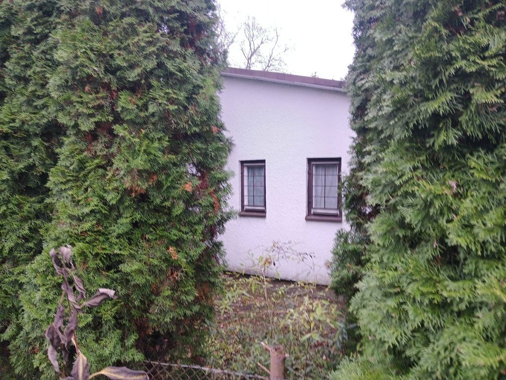 Działka rod Lubicz Dolny. Zdjęcie 2