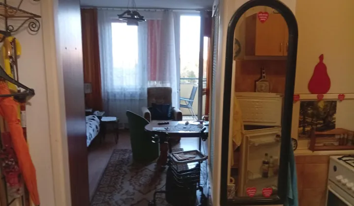 Mieszkanie 1-pokojowe Warszawa Saska Kępa, ul. Międzynarodowa