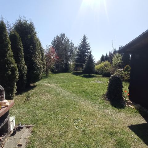 Działka rod Sosnowiec Kazimierz, ul. Limbowa. Zdjęcie 1