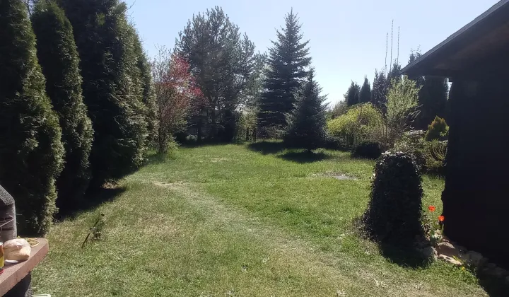 Działka rod Sosnowiec Kazimierz, ul. Limbowa