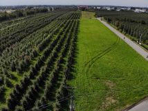 Działka rolna Kobylin, ul. Szmaragdowa. Zdjęcie 1