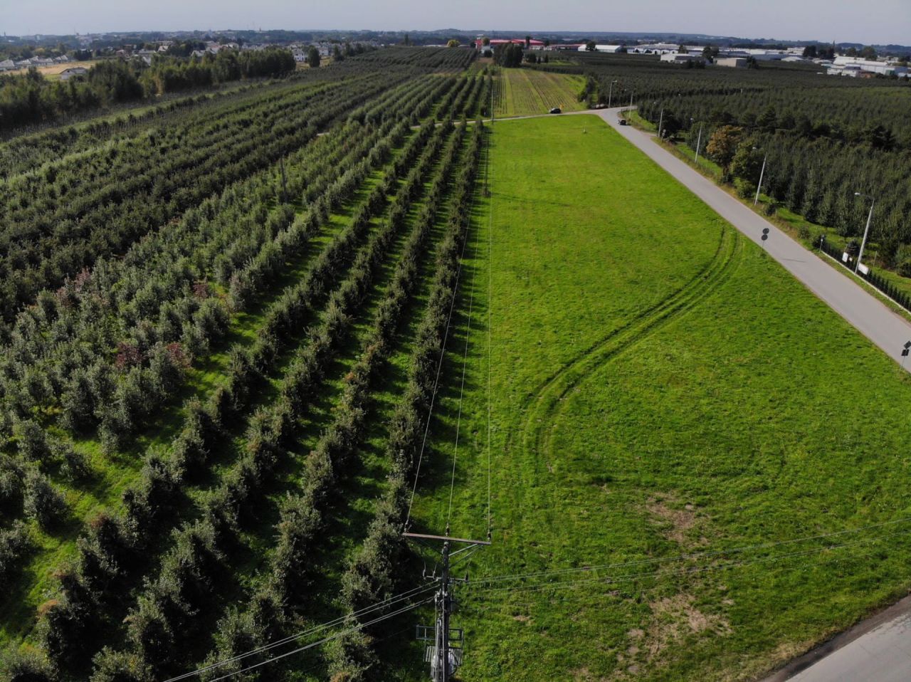 Działka rolna Kobylin, ul. Szmaragdowa. Zdjęcie 2