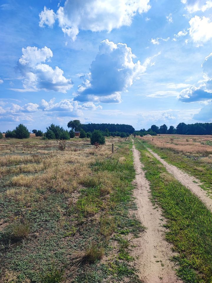 Działka budowlana Stare Zambski. Zdjęcie 2