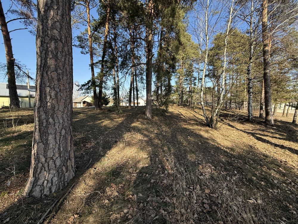 Działka rolno-budowlana Zanie. Zdjęcie 3