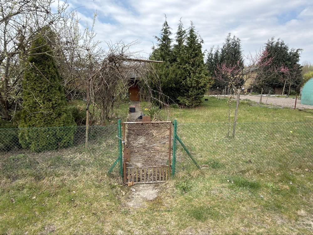 Działka rod Wieluń. Zdjęcie 4