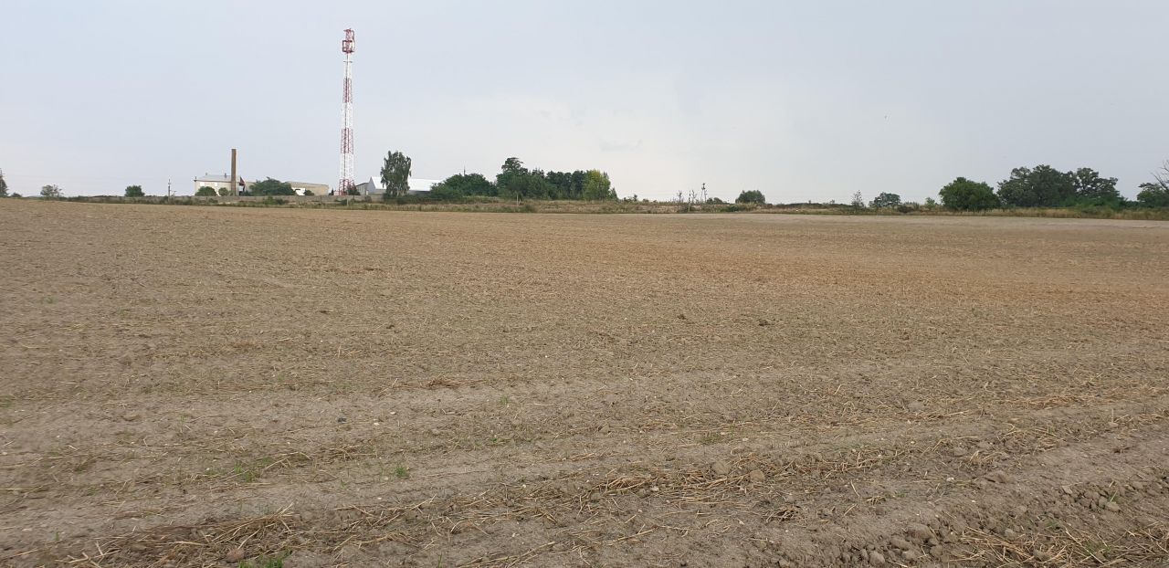 Działka rolna Międzybórz, ul. Kolejowa. Zdjęcie 5