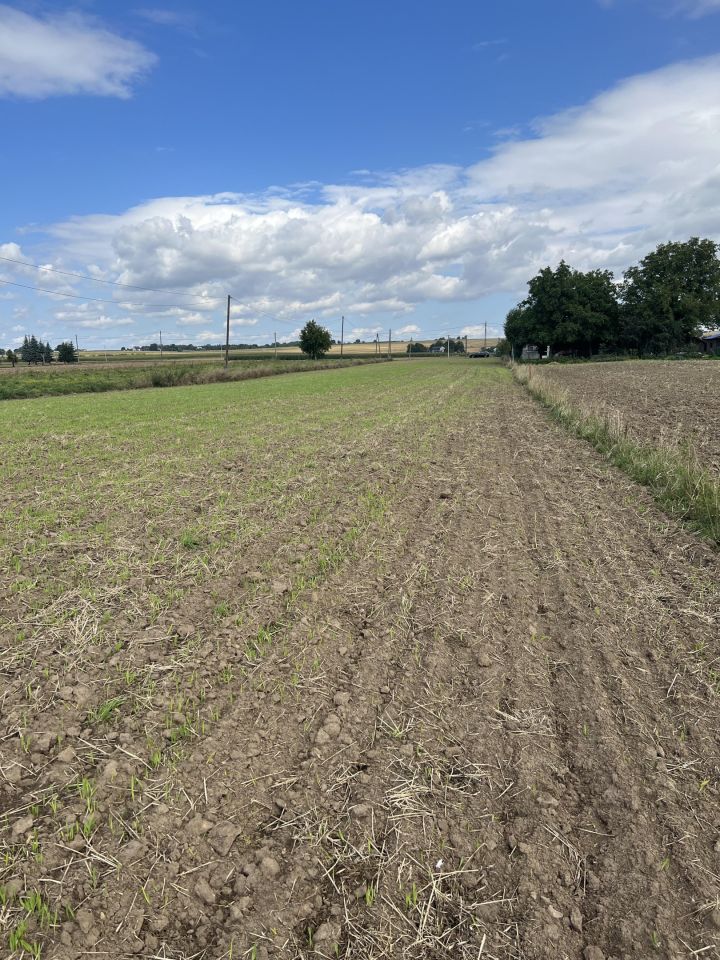 Działka rolno-budowlana Biskupice Wymysłów. Zdjęcie 3