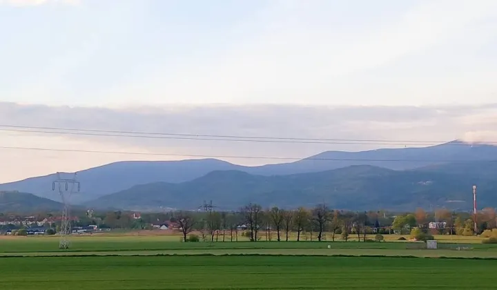 Działka rolna Wojcieszyce