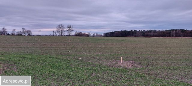 Działka budowlana Biskupice Ołoboczne. Zdjęcie 1