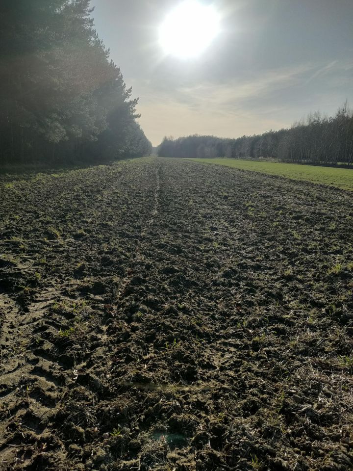 Działka rolna Jasionna. Zdjęcie 7