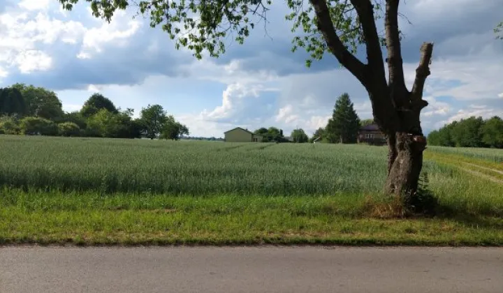 Działka siedliskowa Strzelce