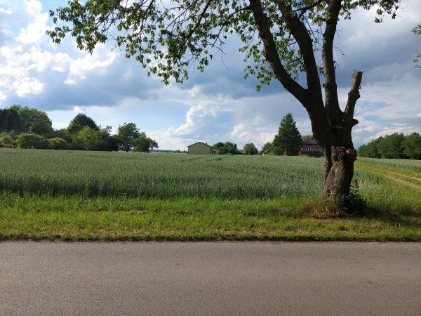 Działka siedliskowa Strzelce. Zdjęcie 1
