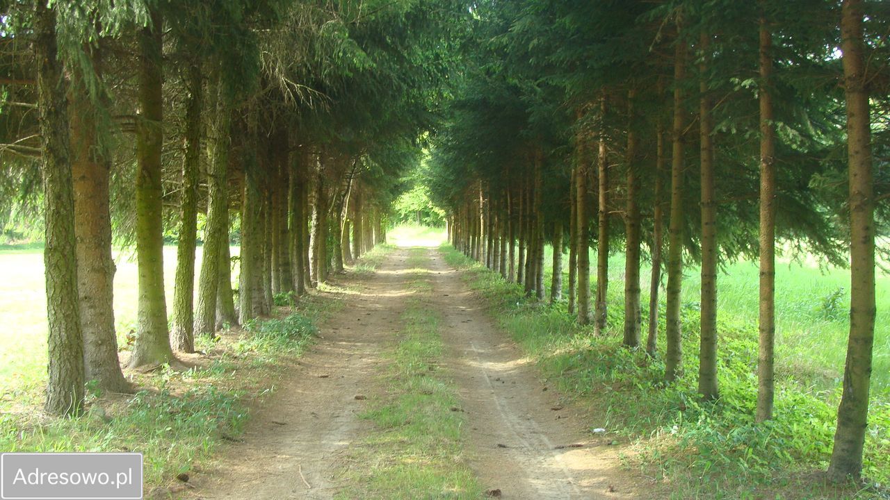 Działka rolna Domaszków, ul. Kolejowa. Zdjęcie 8
