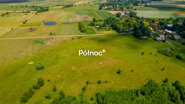 Działka rolna Mieleszki-Kolonia. Zdjęcie 13