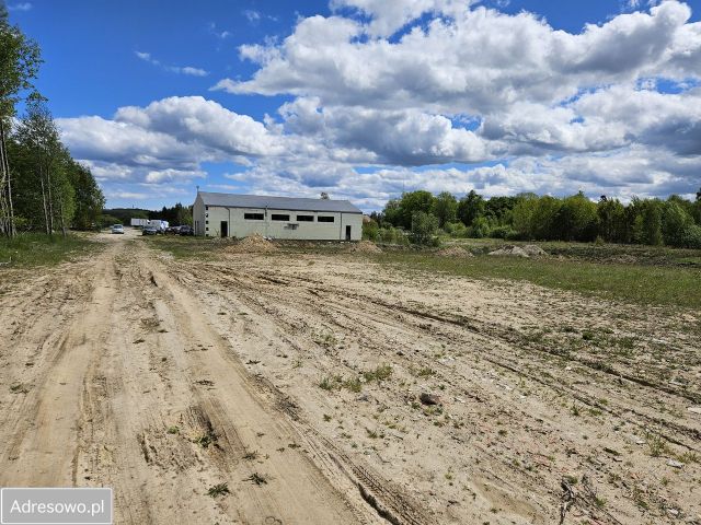 Działka inwestycyjna Dobrzewino. Zdjęcie 1