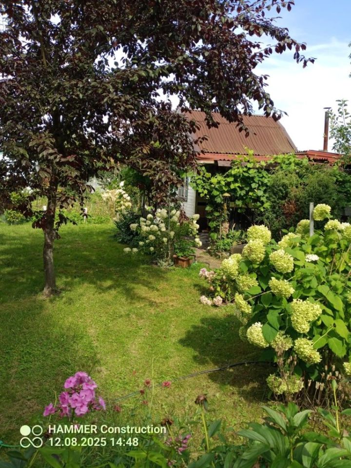 Działka rod Police. Zdjęcie 8