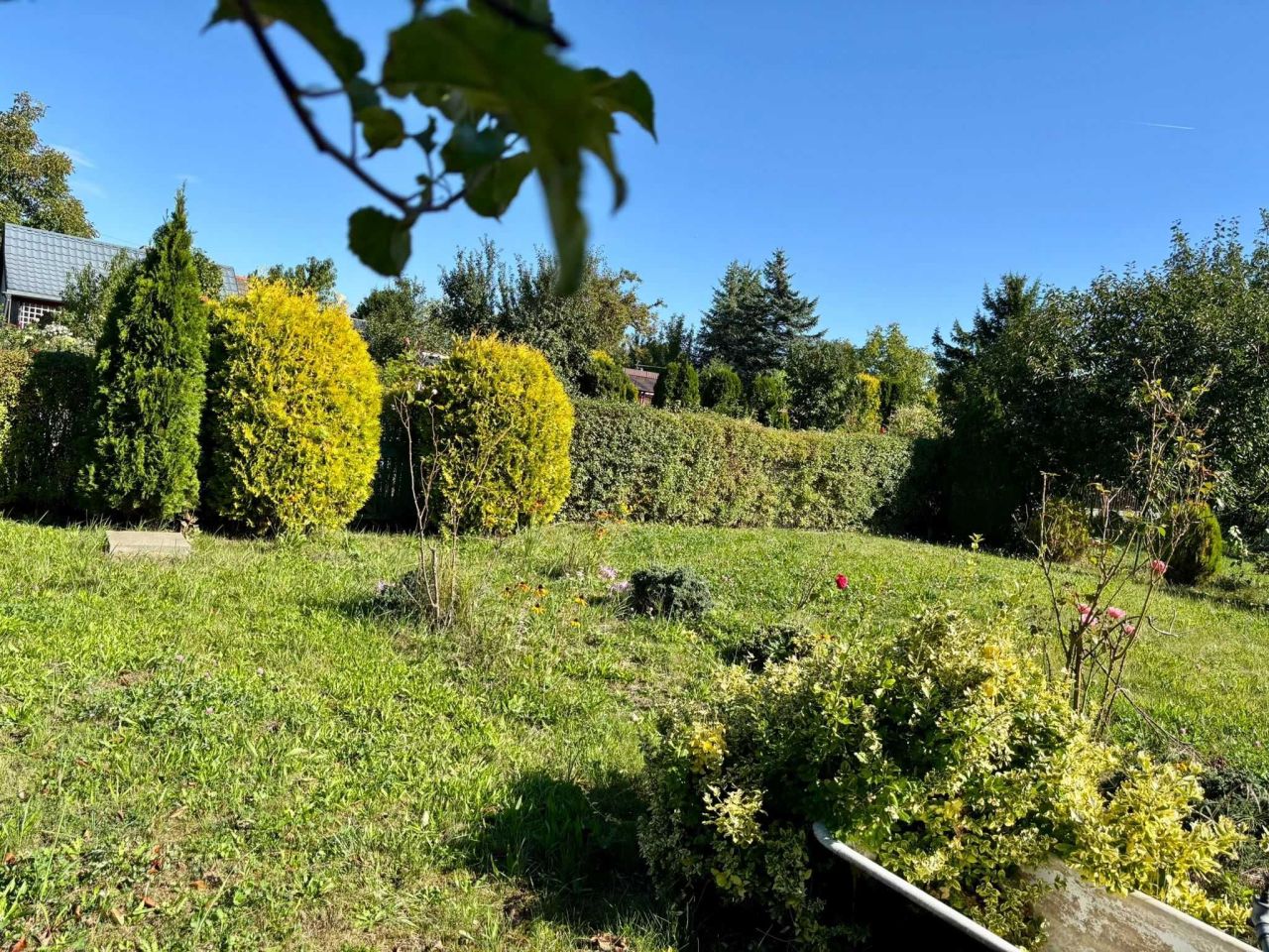 Działka rod Ostrów Wielkopolski. Zdjęcie 4