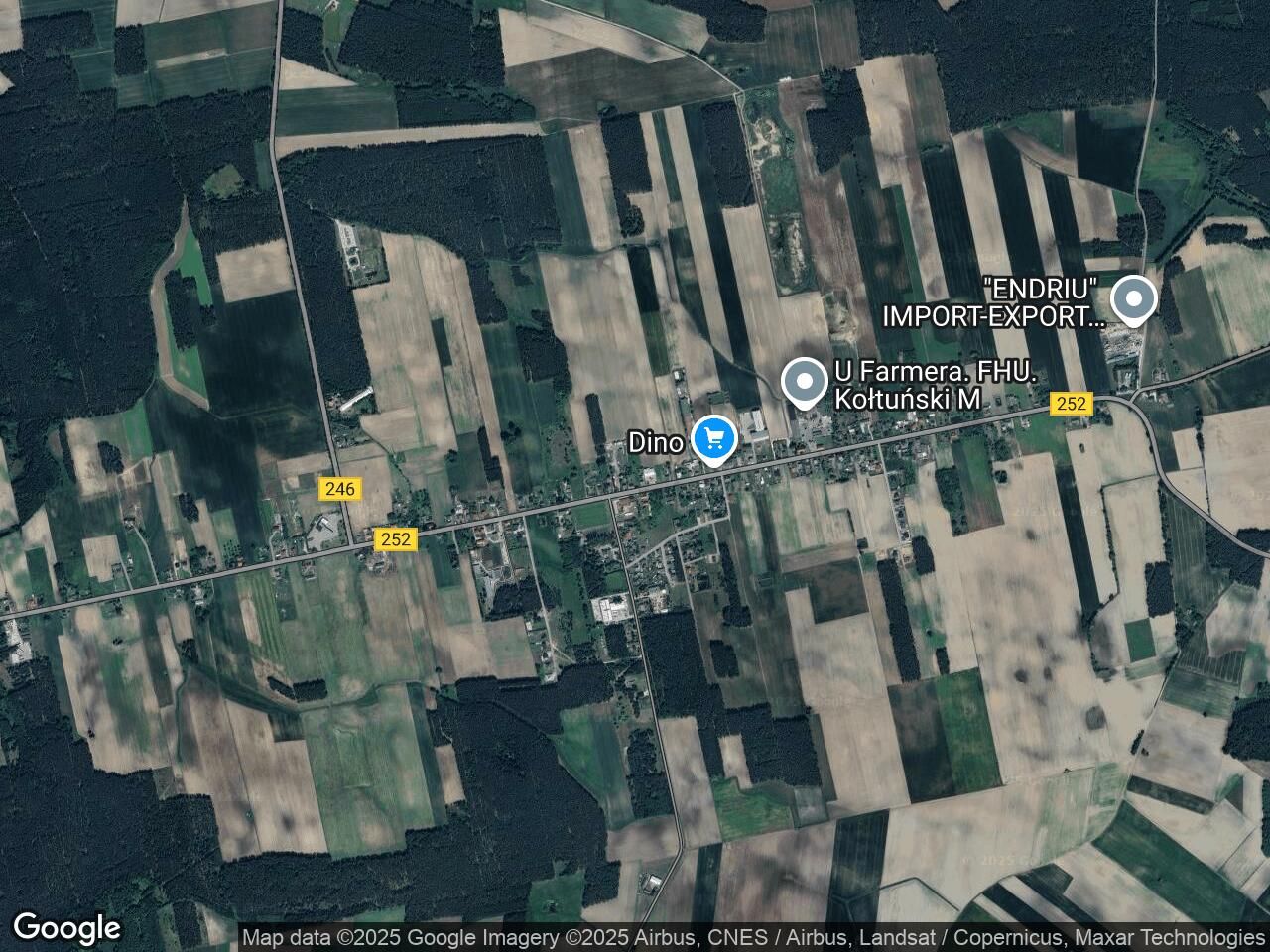 Działka siedliskowa Dąbrowa Biskupia, ul. Długa