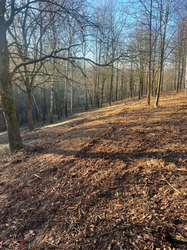 Działka rolno-budowlana Siepraw Brzeg, ul. Brzeg. Zdjęcie 7